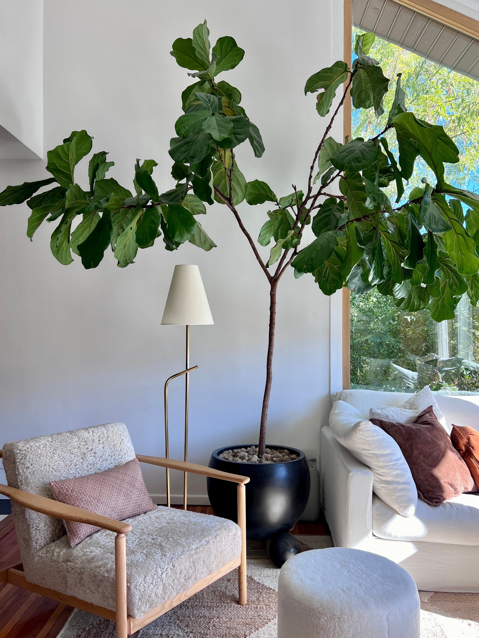 Pearce Floor Lamp — a Troy floor lamp for living rooms and reading nooks at Laurie Yapp Home.