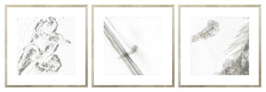 Aerial Rural View Trio II (IV-VI) Bundle