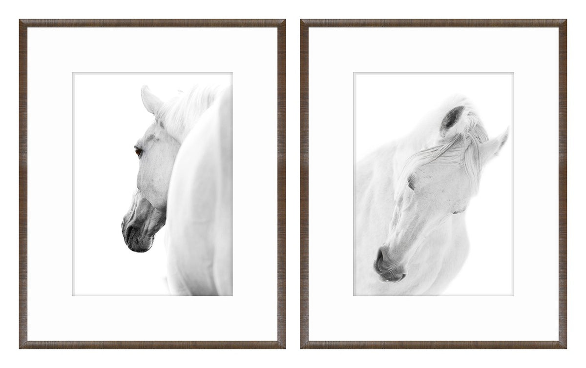 Arabian Horse Pair Bundle