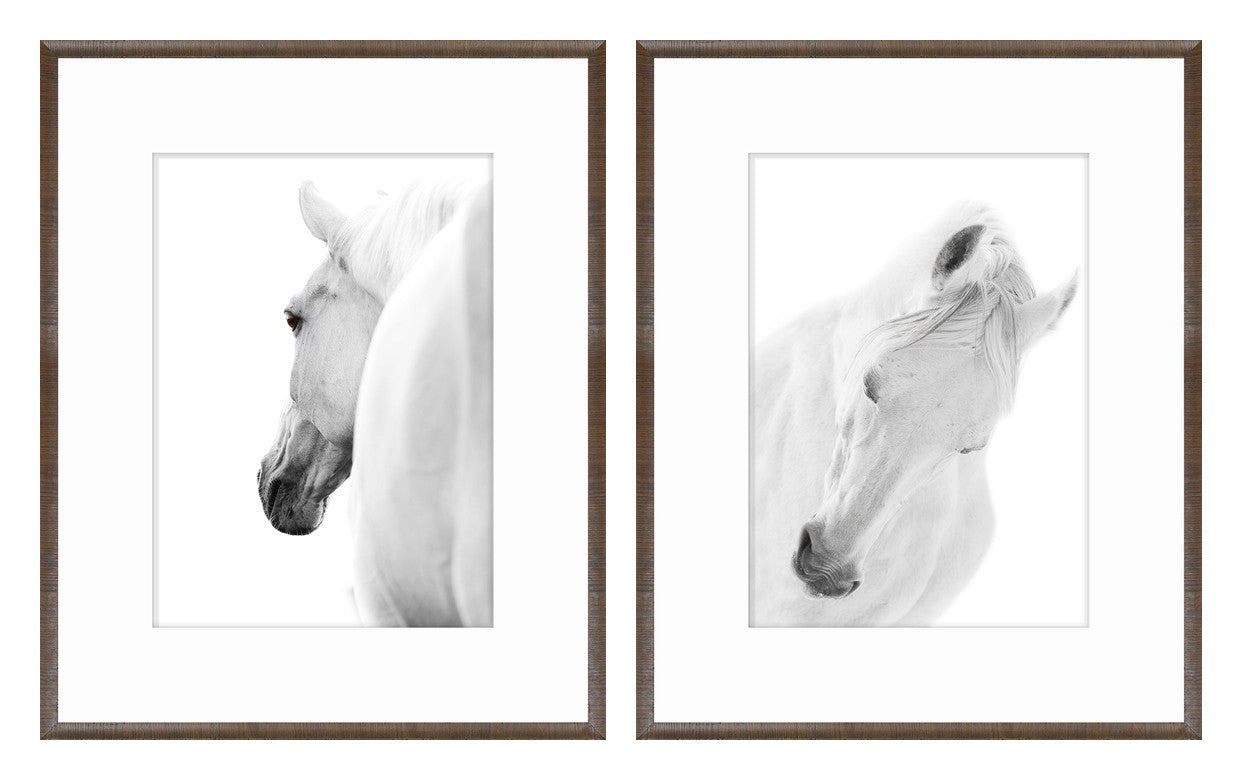 Arabian Horse Pair Bundle