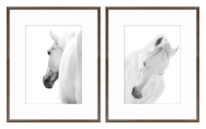 Arabian Horse Pair Bundle