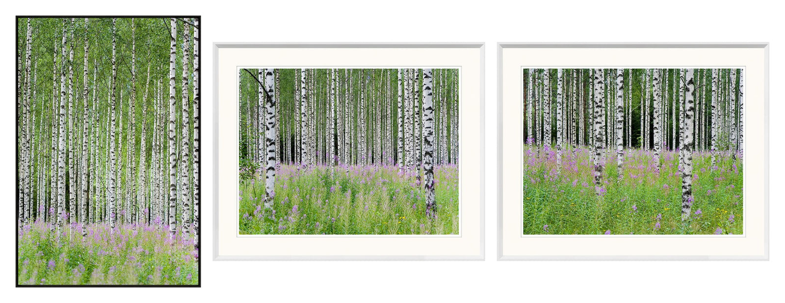 Aspens In Violet Trio Bundle