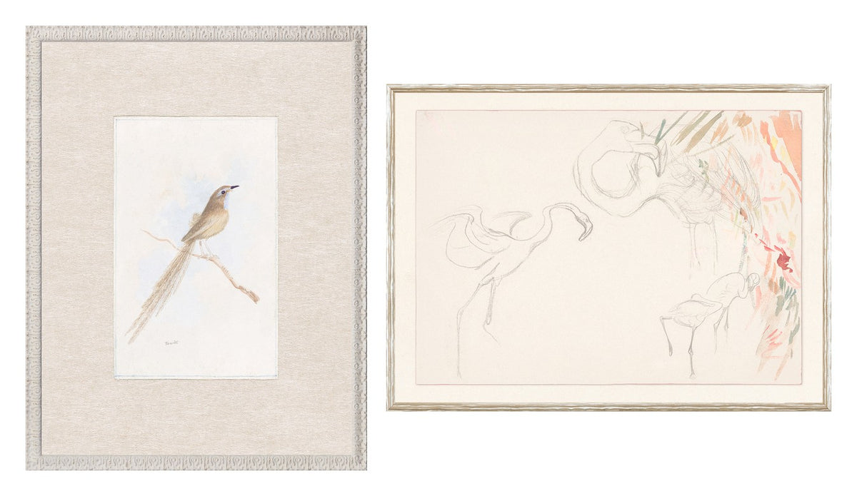 Collection 24 Songbird & Flamingo Pair Bundle - composite