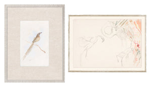 Collection 24 Songbird & Flamingo Pair Bundle - composite