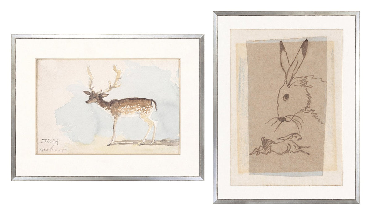 Collection 24 Deer & Rabbit Study Pair Bundle