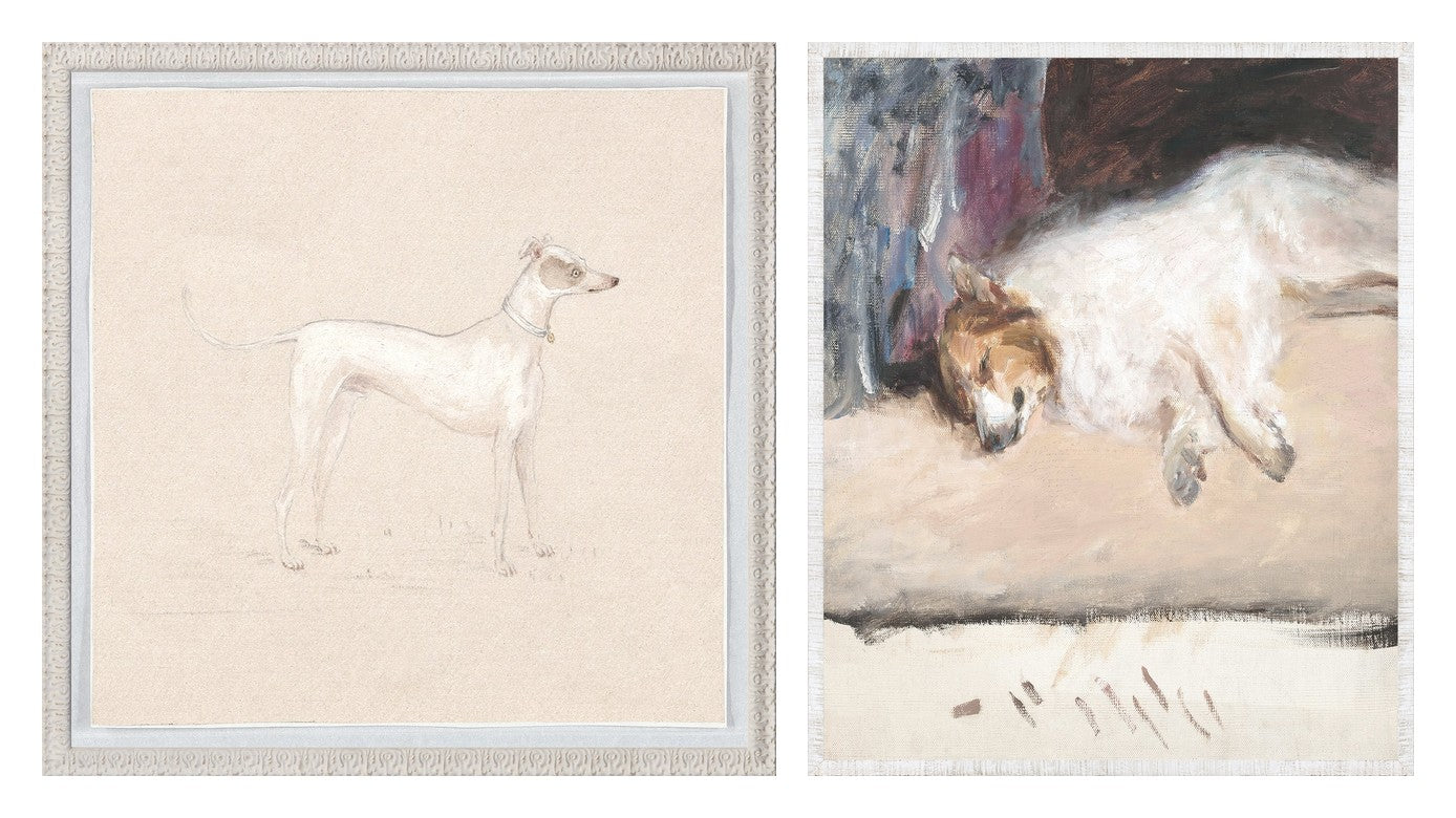 Collection 24 Dog Studies Pair Bundle - composite