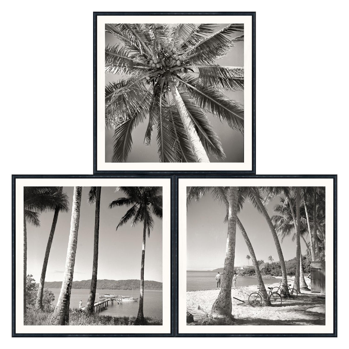Nostalgic Palm Trees Bundle featuring three black and white framed photos of palm trees and beach scenes.