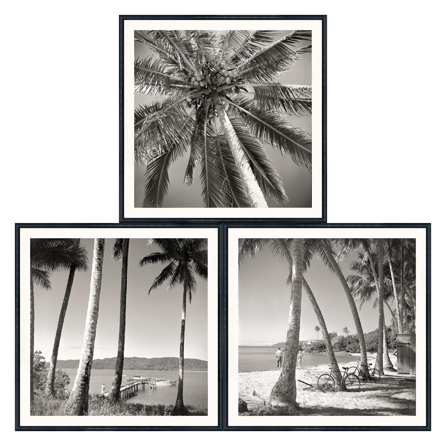 Nostalgic Palm Trees Bundle featuring three black and white framed photos of palm trees and beach scenes.