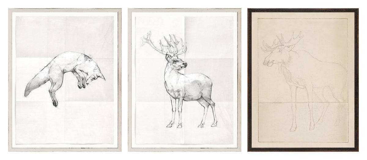 Cottage Wildlife Sketches Trio Bundle