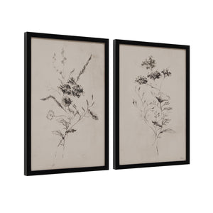 Adeline artwork displaying two floral illustrations in black ink on a light beige backdrop, in black frames.