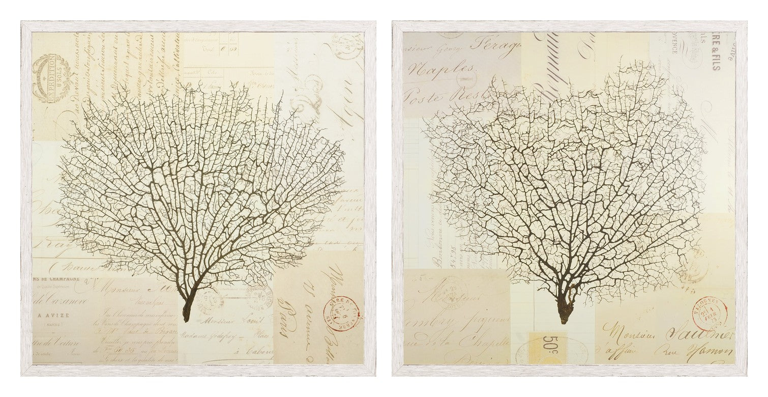 Document Sea Fern Pair Bundle