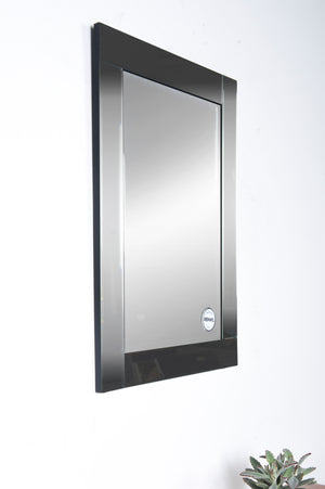 Adan Wall Mirror featuring a modern black frame, mounted on a wall with a plant nearby.