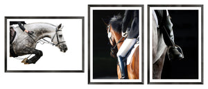 Equestrian Detail Trio Bundle