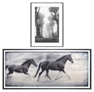 Equine Fantasy & Motion Pair Bundle