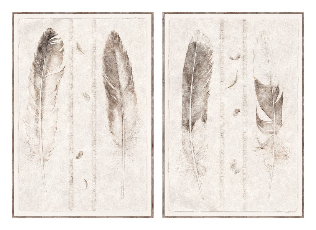 Étude de Plumes Pair Bundle - composite