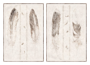 Étude de Plumes Large Format Pair Bundle
