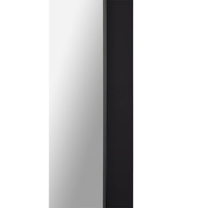 Delacorte Wall Mirror featuring a sleek black frame and a reflective surface, showcasing a modern design.