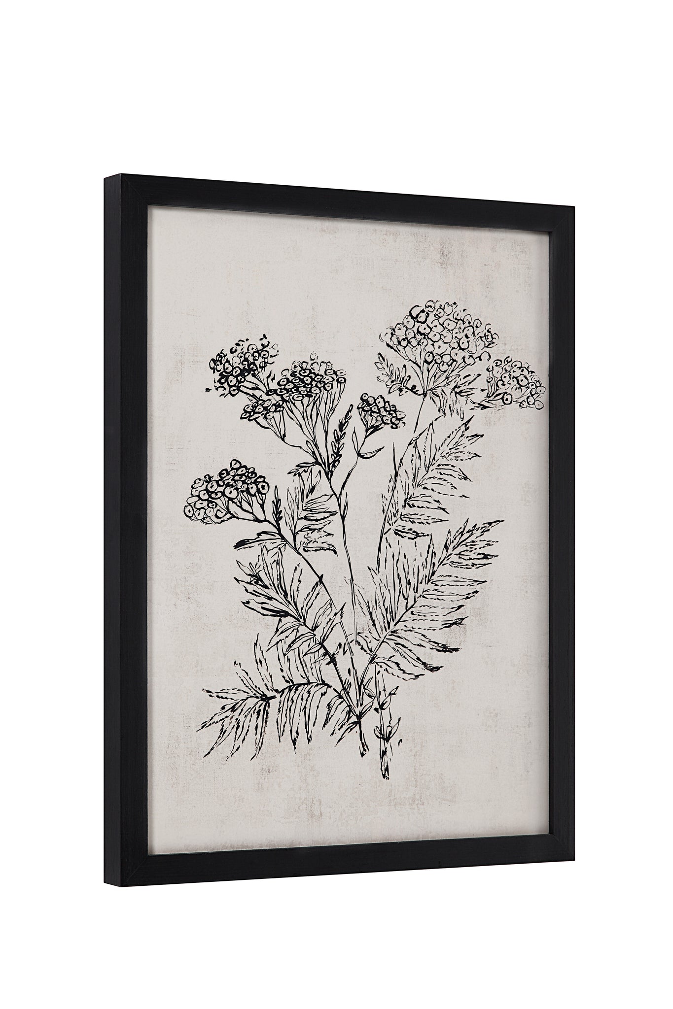 Basset Canvas Art with a side angle view of a botanical illustration framed in black.