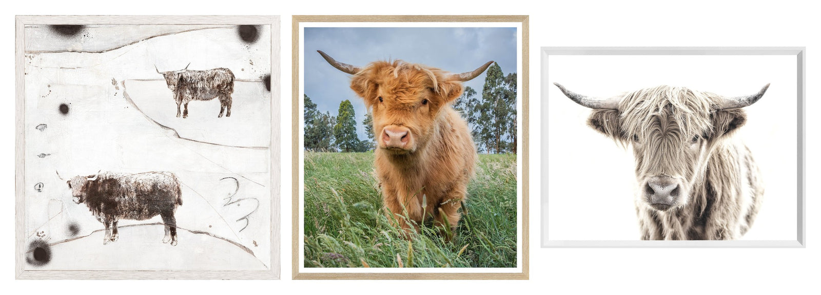 Highland Cattle Trio Bundle