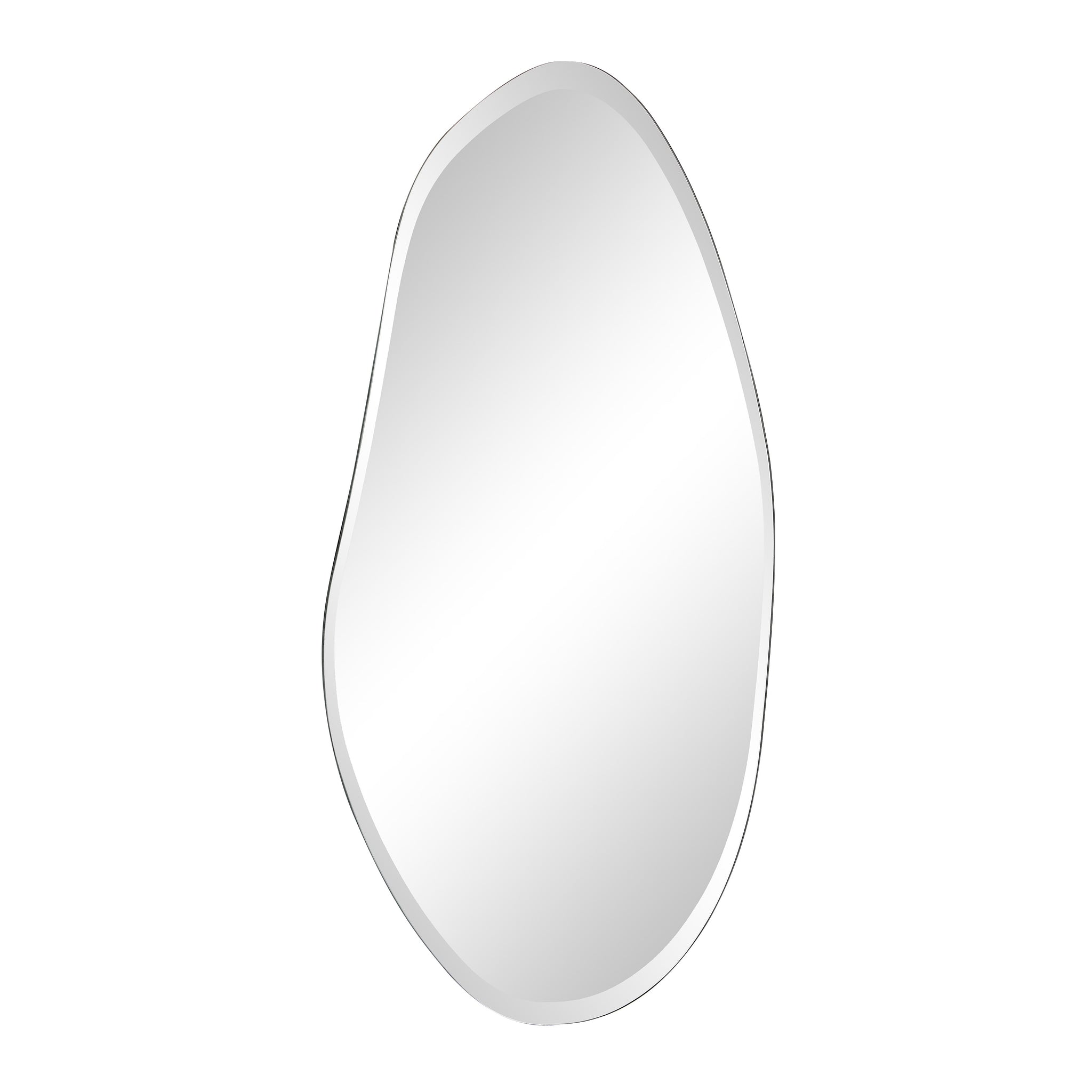 Anogia mirror by Renwil, smooth organic shape, silver trim, clear reflective surface, modern style.