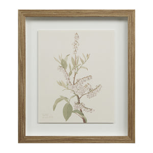 Crema canvas art showcasing a botanical illustration of white flowers in a light wood frame.