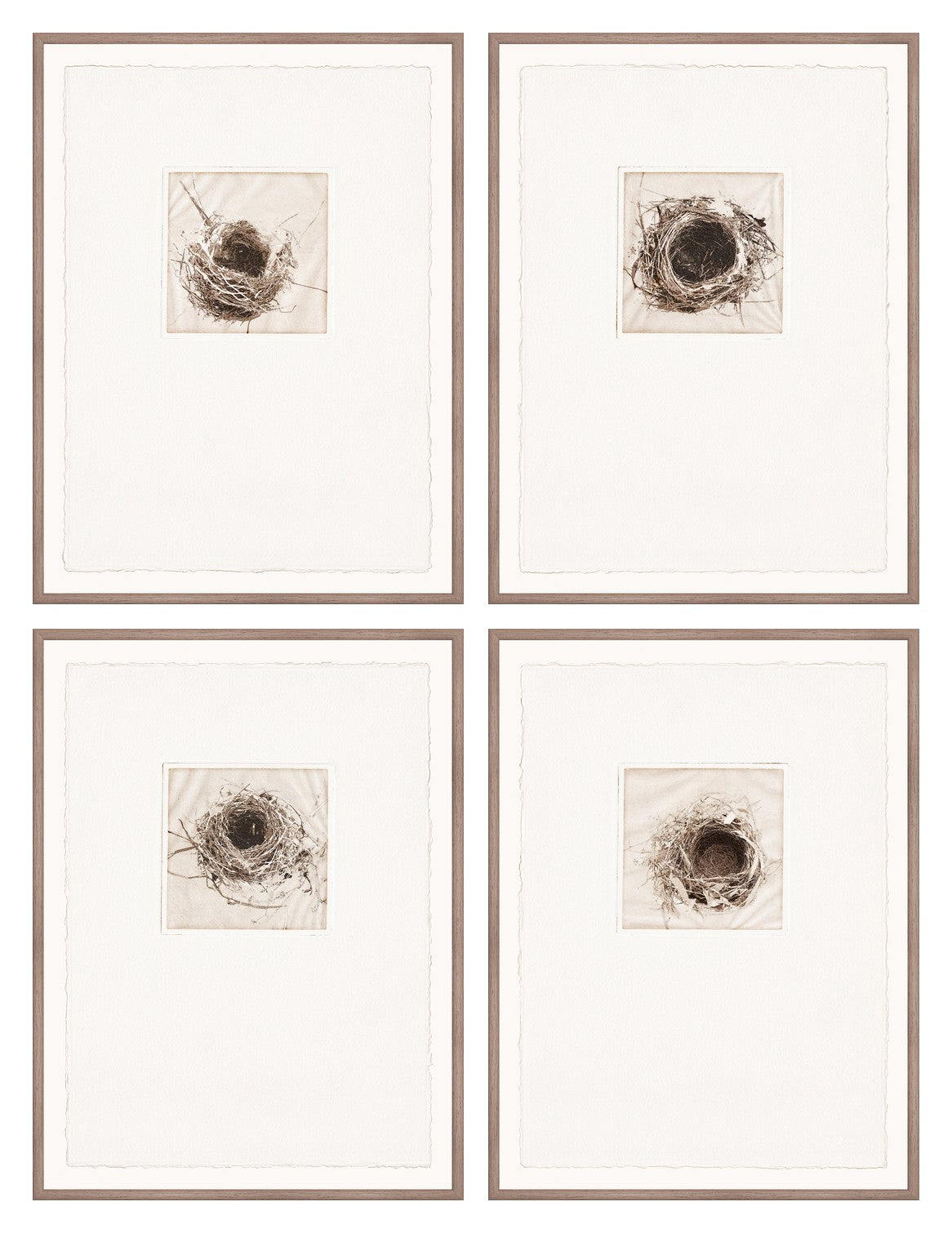 Intaglio Nests Complete Quartet Bundle - composite