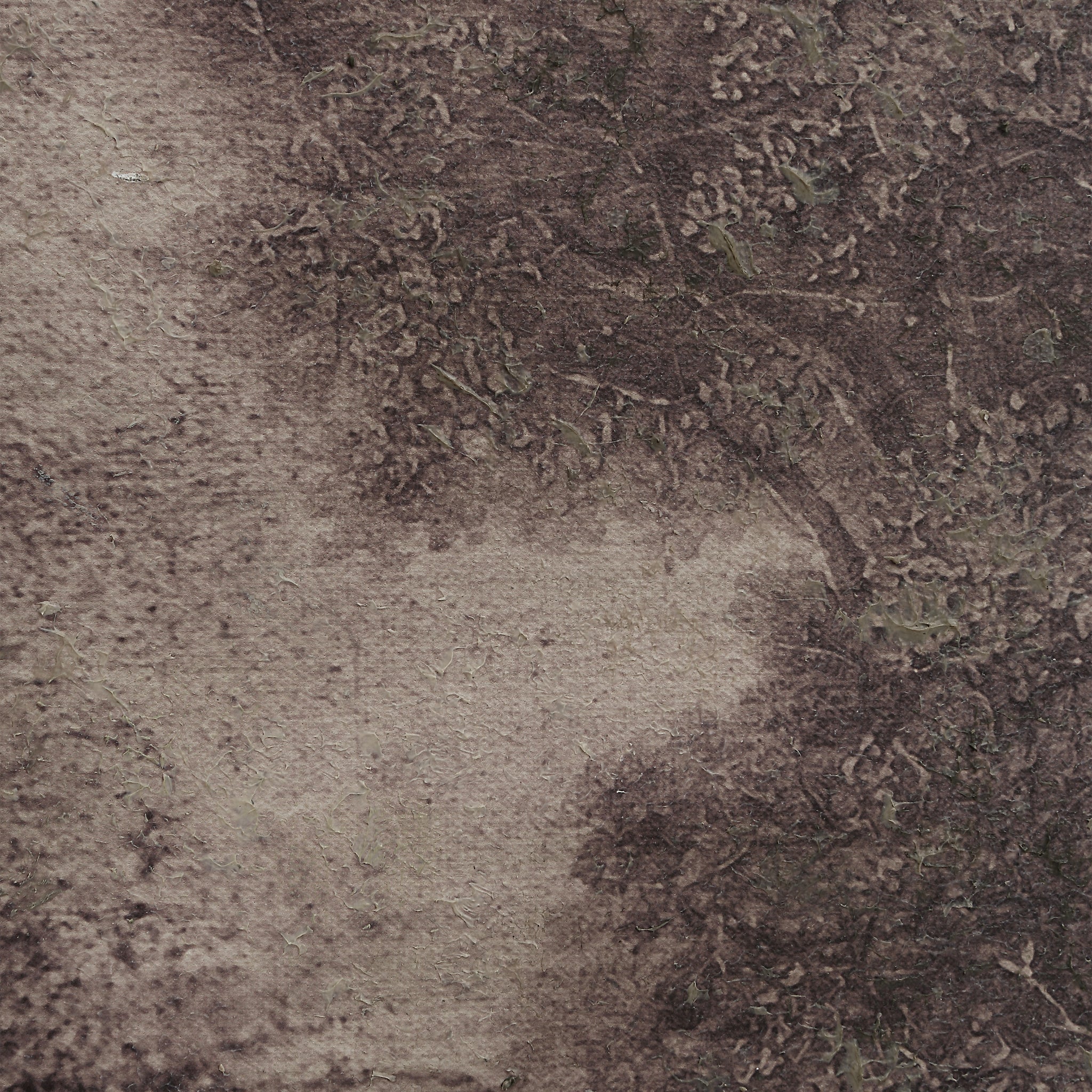 Close-up of Falco canvas art highlighting the intricate texture and colors
