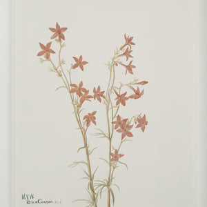 Crema canvas art showcasing red flowers with green stems on a white background, signed by the artist.
