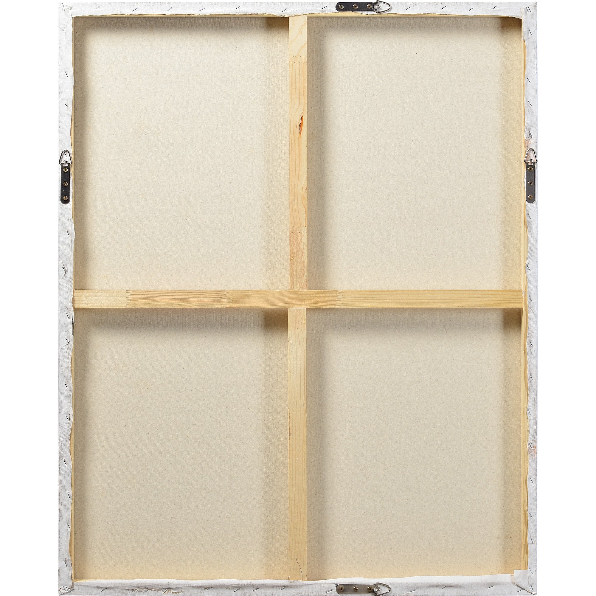 Back view of Skylab canvas art showing the wooden frame and canvas backing.