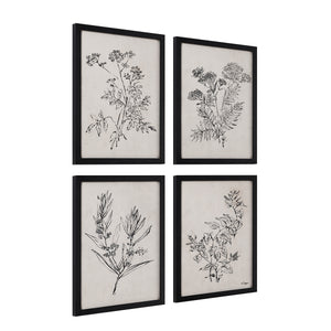 Basset Canvas Art displaying four framed botanical sketches with a beige backdrop and black outlines.