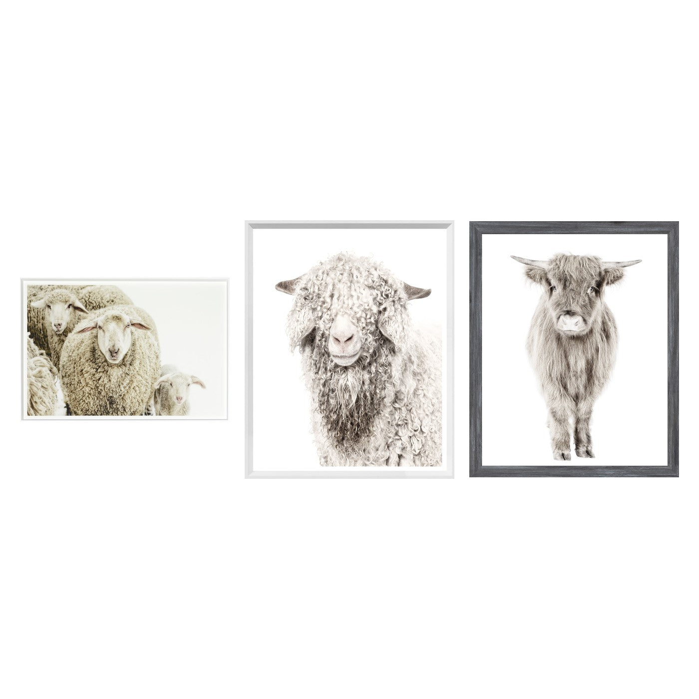 Modern Farmhouse Animals Trio Bundle - Wooly Stare, Angora Goat, Highland Calf