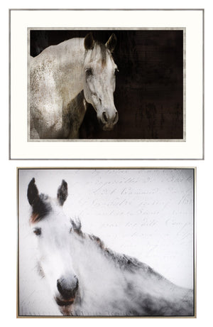 Morgan & Equine Romance Pair Bundle