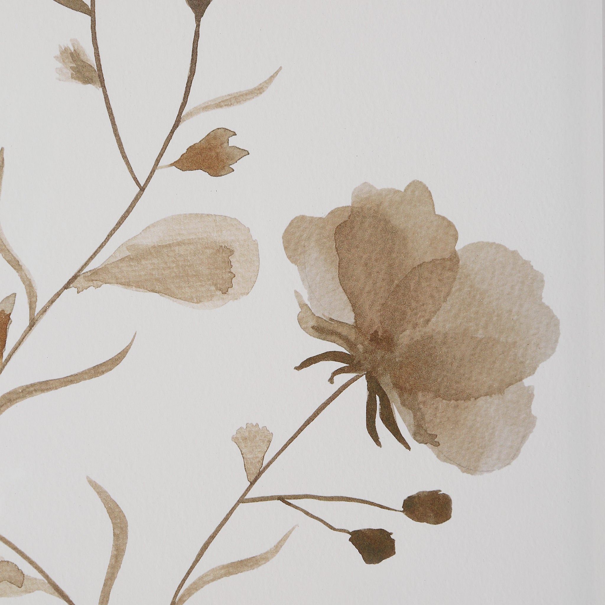 Madalena wall art close-up of a floral design in beige watercolor on white background.