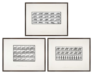 Muybridge Motion Studies Trio Bundle