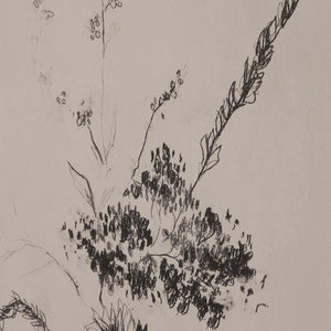 Close-up of Adeline artwork showing detailed floral sketches in black ink on a beige canvas.