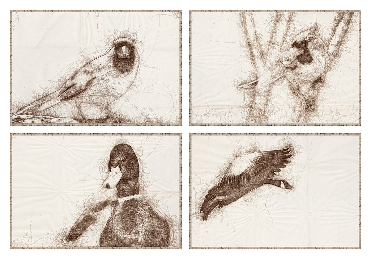 Nature Sketch Bird Quartet Bundle