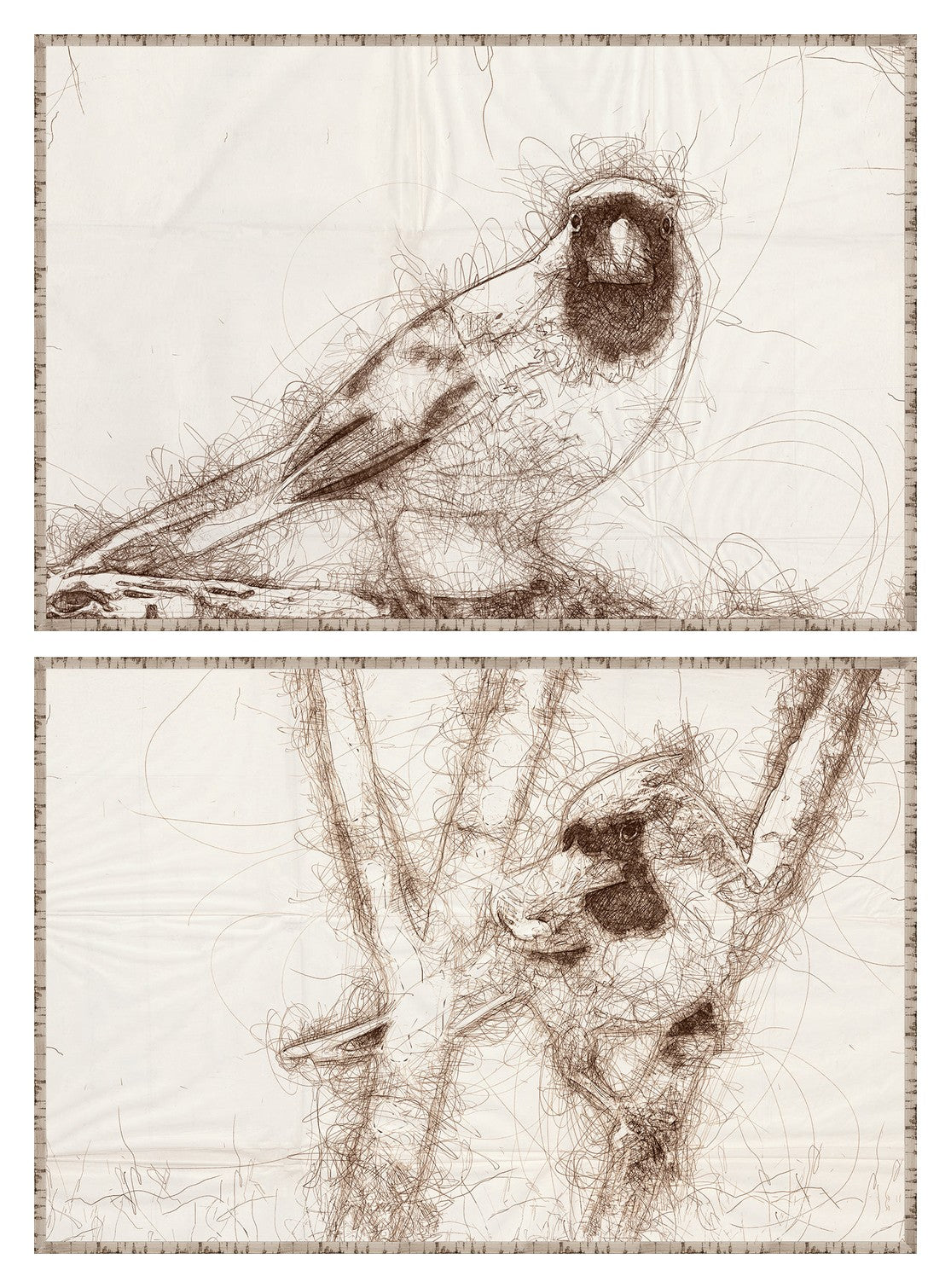 Nature Sketch Cardinal Pair Bundle