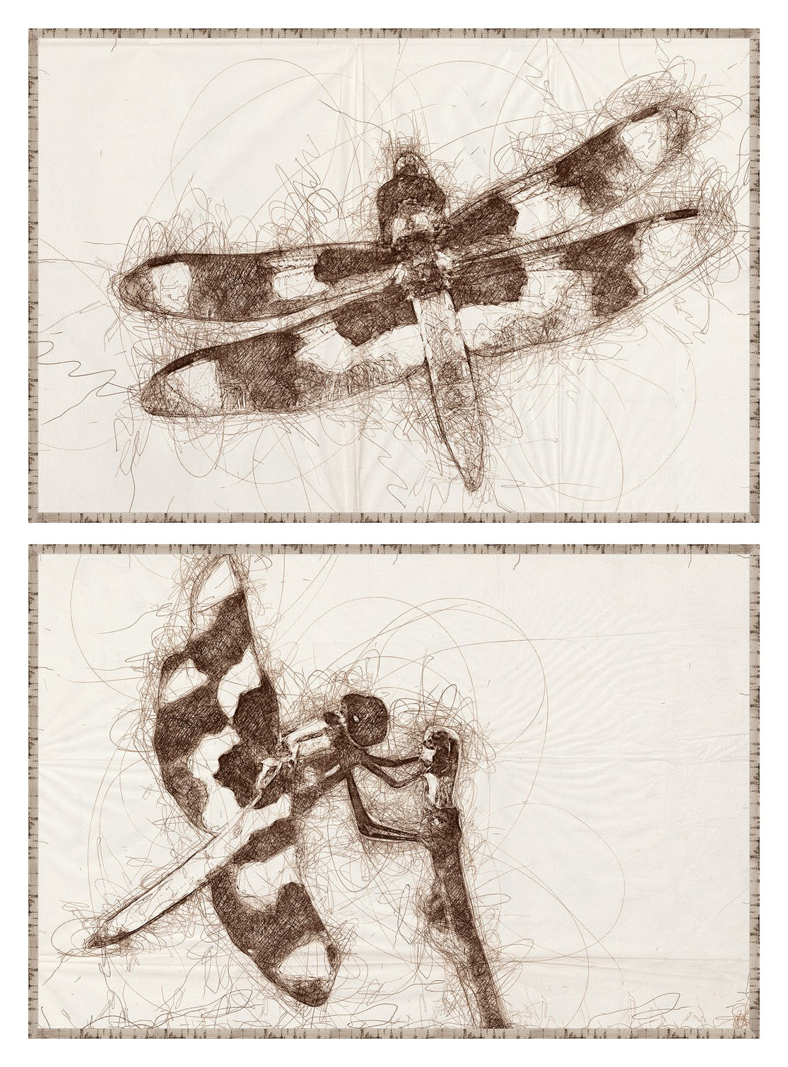 Nature Sketch Dragonfly Pair Bundle - composite