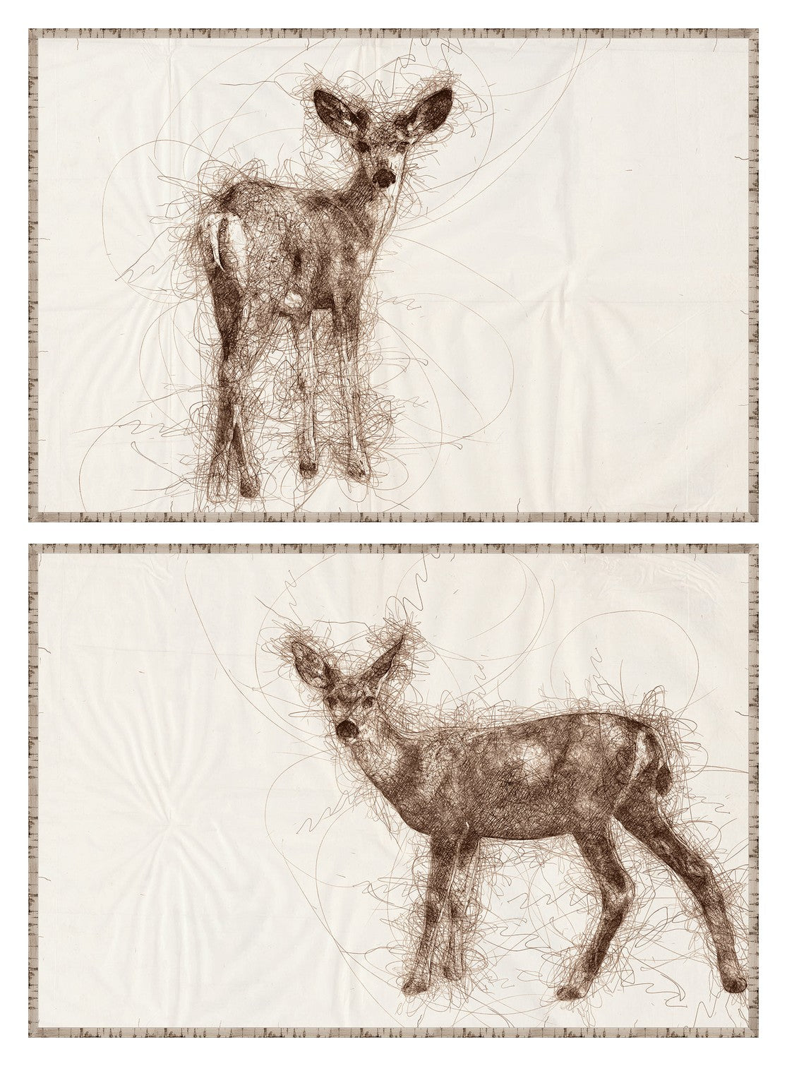 Nature Sketch Fawn Pair Bundle - composite