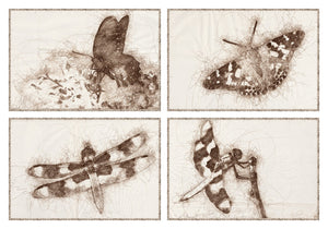 Nature Sketch Insect Quartet Bundle