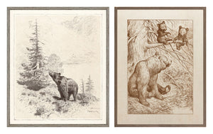 Northern Wilderness Bear & Bear Cubs Pair Bundle - composite