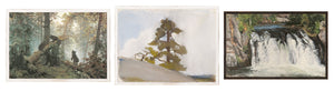 Northern Forest Trio Bundle