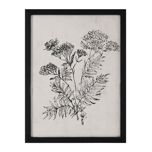 Basset Canvas Art featuring a black-framed illustration of flowering plants on a textured light background.