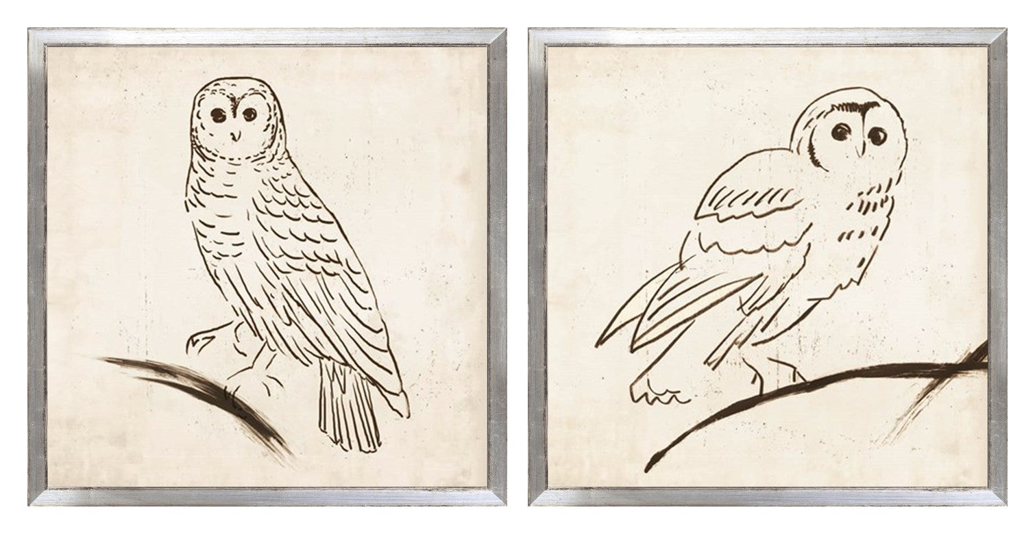 Owl Line Pair Bundle