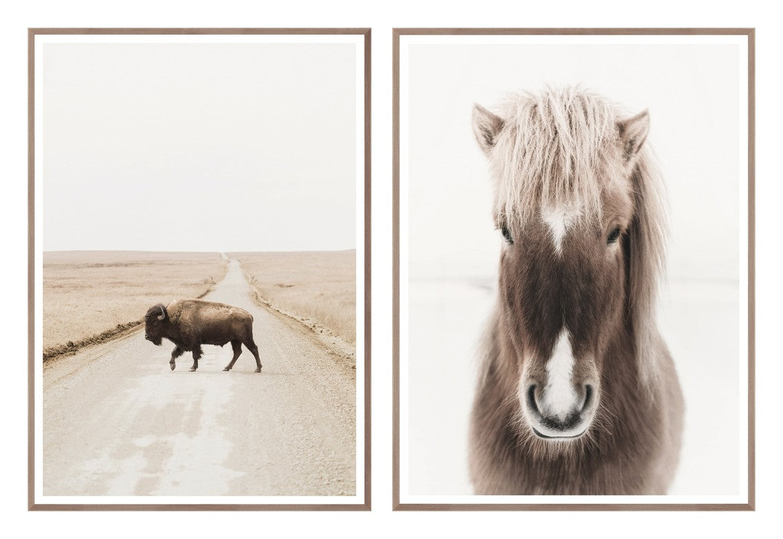 Plains Wildlife Pair Bundle - composite