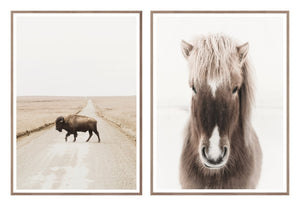 Plains Wildlife Pair Bundle - composite