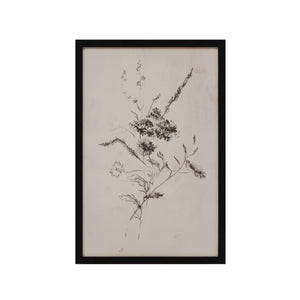 Adeline floral artwork in black frame, featuring delicate line drawings of flowers.