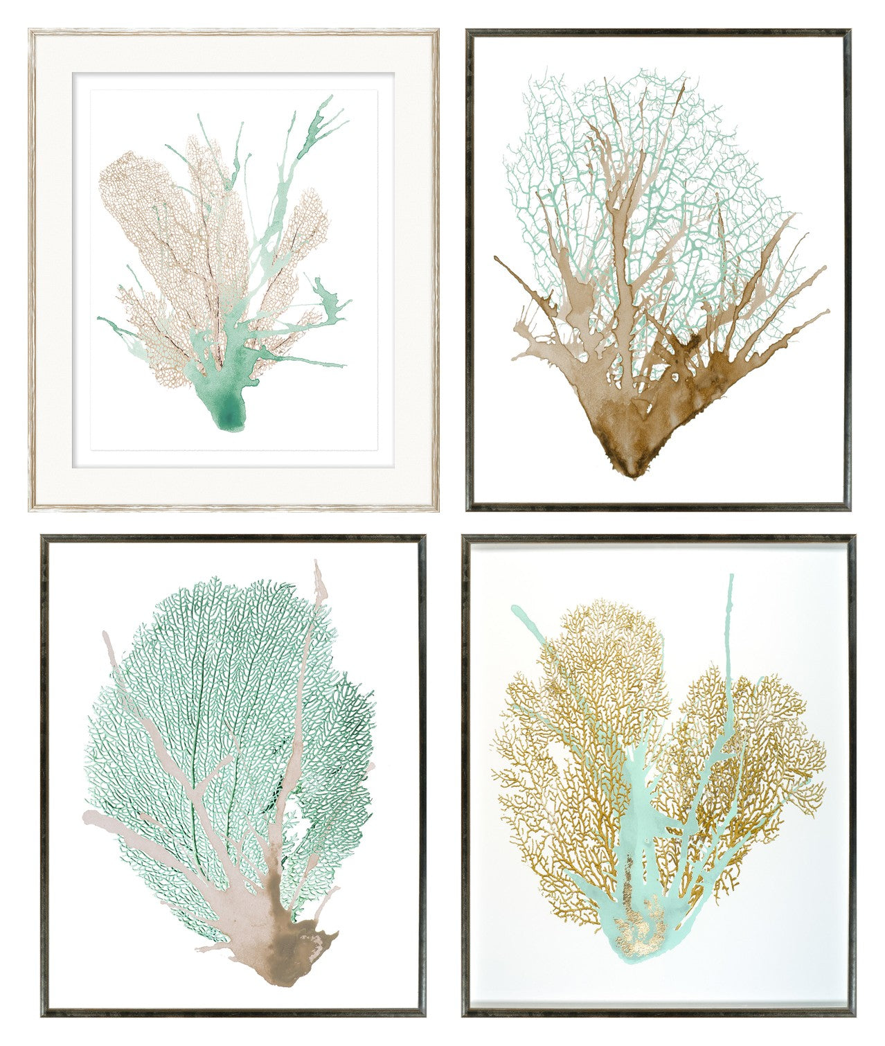 Spa Coral Quartet Bundle
