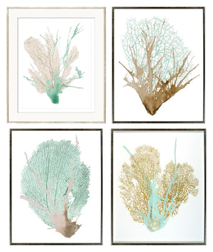 Spa Coral Quartet Bundle