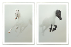 Stallion in Fog Pair Bundle